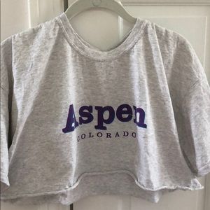 ‼️SOLD‼️ BRANDY MELVILLE cropped aspen tee
